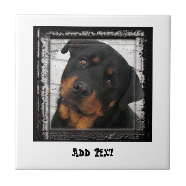 Gorgeous Rottweiler Dog personalisiert Fliese (Vorderseite)