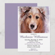 GORGEOUS SHELTI PUPPY WISHES GLÜCKLICH BIRTHDAY