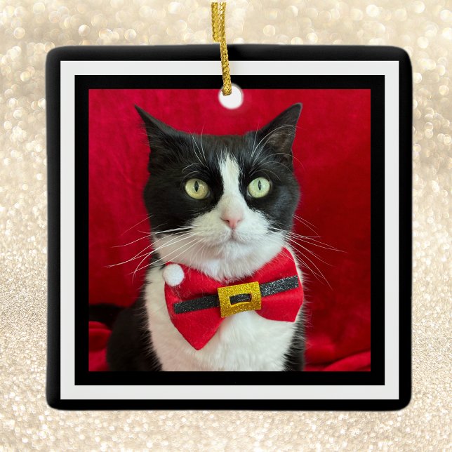 Gorgeous Tuxedo Cat Christmas Ornament  (Von Creator hochgeladen)