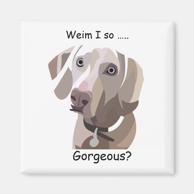 Gorgeous Weimaraner Magnet (Vorne)