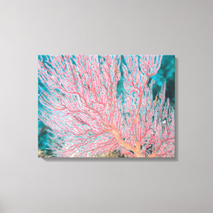 Gorgonian Koralle 3 Leinwanddruck