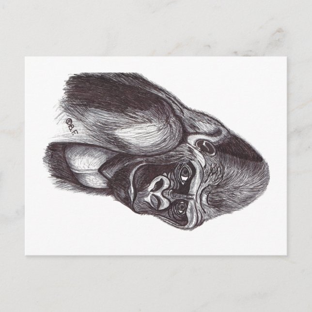 GORILA FEIERTAGSPOSTKARTE (Vorderseite)