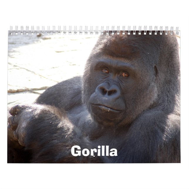Gorilla_004, Gorilla Kalender (Titelbild)