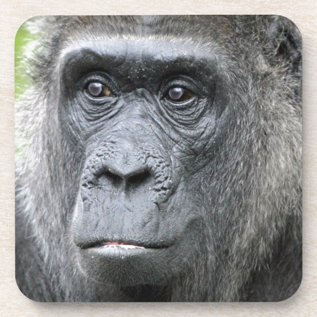 Gorilla 004 untersetzer (Vorderseite)
