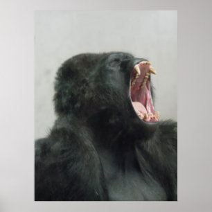 Gorilla, Ape, Affe, Tier, Naturwall Poster