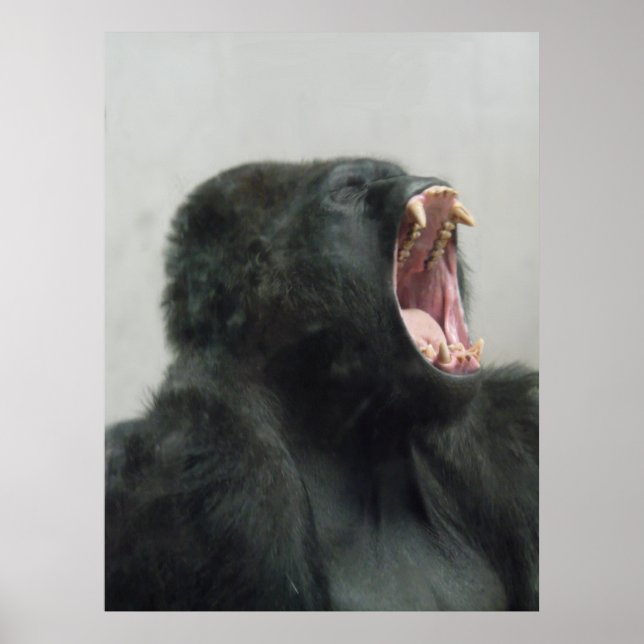 Gorilla, Ape, Affe, Tier, Naturwall Poster (Vorne)