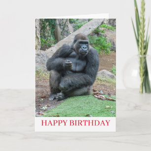 Gorilla au zoo carte d'anniversaire