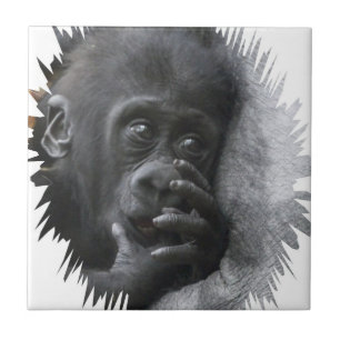 Gorilla Baby 001 Fliese