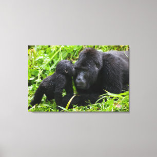 Gorilla-Baby küsst Rücken eines erwachsenen Gorill Leinwanddruck