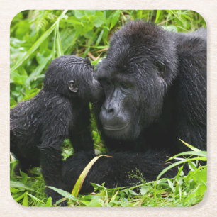 Gorilla-Baby küsst Silberrücken-Gorilla Rechteckiger Pappuntersetzer