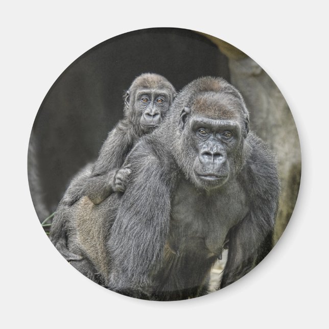 Gorilla & Baby Magnet (Vorne)
