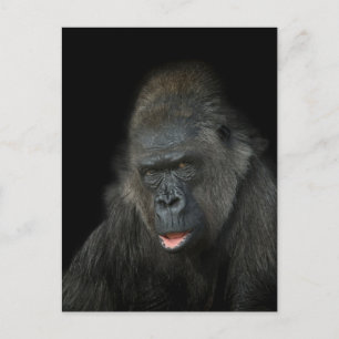 Gorilla Biddy Classic Postkarte