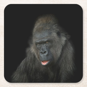 Gorilla Biddy Classic Rechteckiger Pappuntersetzer