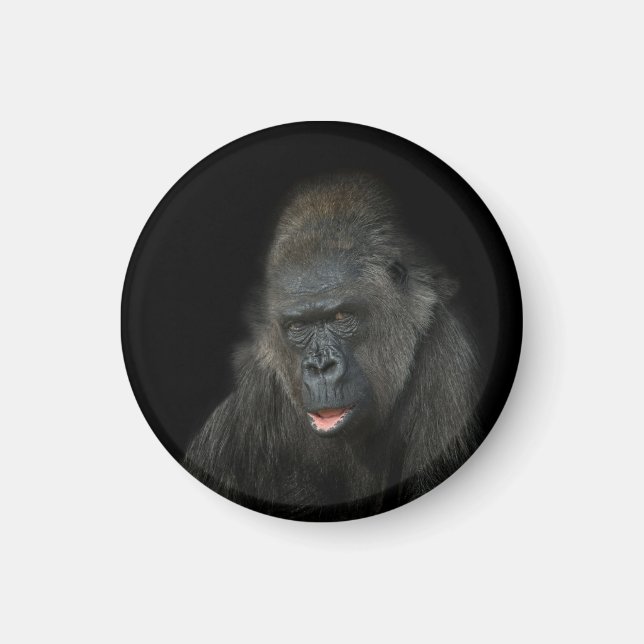 Gorilla Biddy Magnet (Vorne)