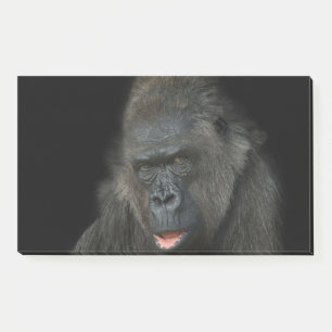 Gorilla Biddy Post-it Klebezettel