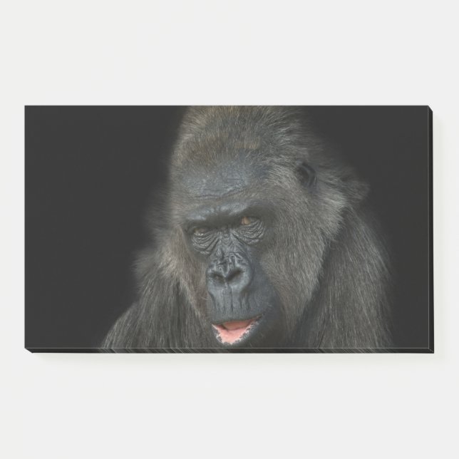Gorilla Biddy Post-it Klebezettel (Vorderseite)