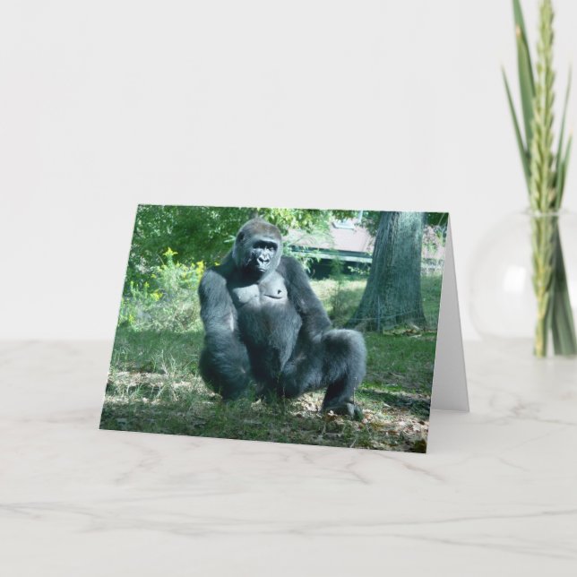 Gorilla Blank Grußkarte Karte (Vorderseite)