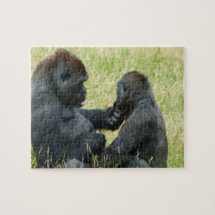 Gorilla Brothers Forever