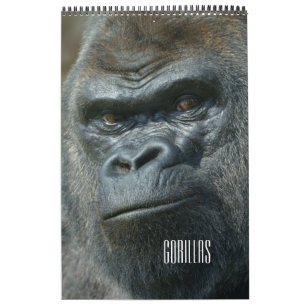 Gorilla Calendar Kalender
