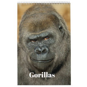 Gorilla Calendar Kalender