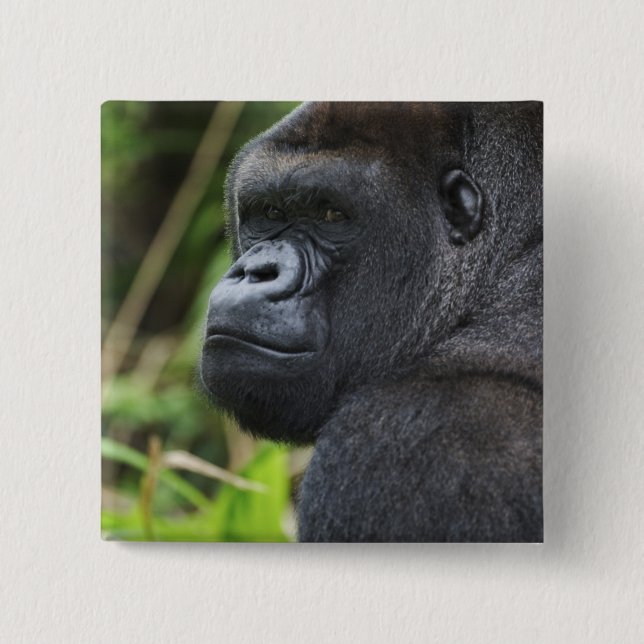 Gorilla Captive Button (Vorderseite)