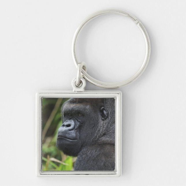 Gorilla Captive Schlüsselanhänger (Vorne)