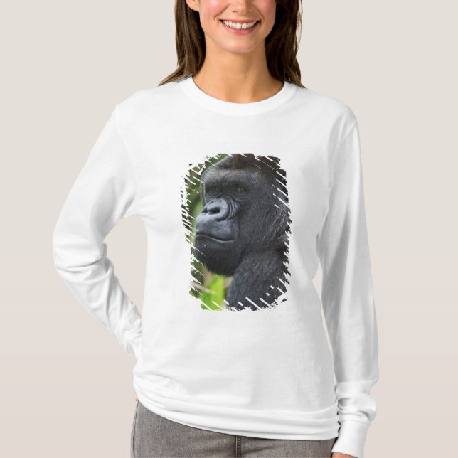 Gorilla Captive T-Shirt (Vorderseite)