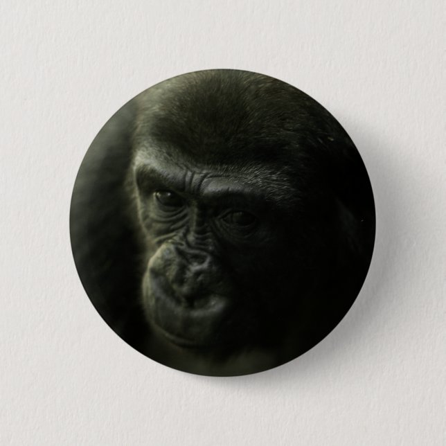 Gorilla Closeup.png Button (Vorderseite)