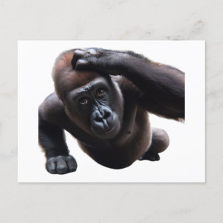 Gorilla doing push-ups. postkarte