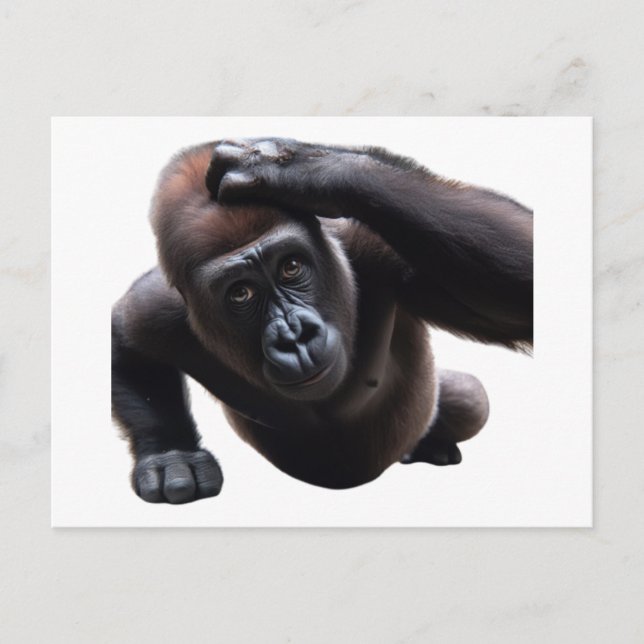 Gorilla doing push-ups. postkarte (Vorderseite)