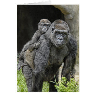 Gorilla-"Doppelpol" Mamma und Baby #1