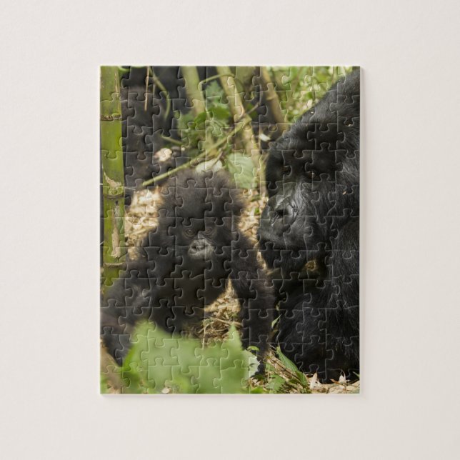 Gorilla, erwachsen mit jung (Vertikal)