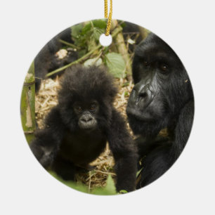Gorilla, erwachsen mit jung keramikornament