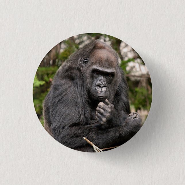 Gorilla F 8672 Button (Vorderseite)