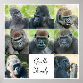 Gorilla Family Poster