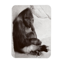 Gorilla Fotografy Sleeping Magnet