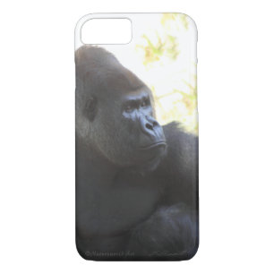 Gorilla Gaze iPhone 7 Fall title_seo2