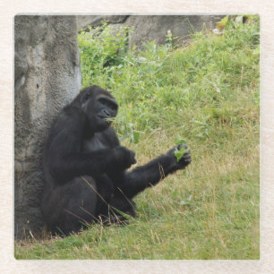 Gorilla Glasuntersetzer
