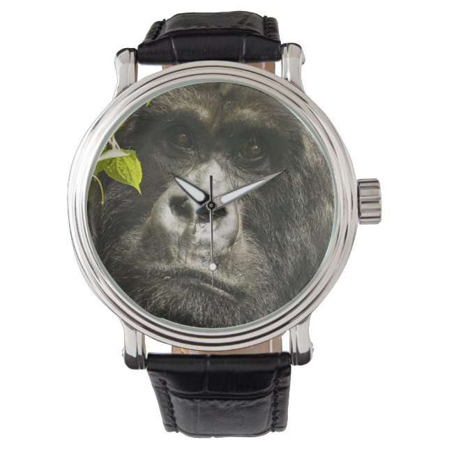 Gorilla, Gorilla beringei beringei, Armbanduhr (Vorderseite)