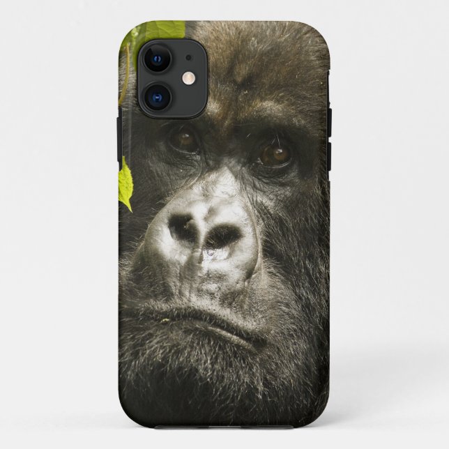 Gorilla, Gorilla beringei beringei, Case-Mate iPhone Hülle (Rückseite)