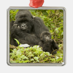 Gorilla, Gorilla beringei (ehemals G. Ornament Aus Metall