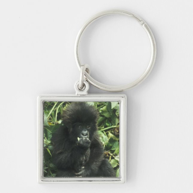 Gorilla (Gorilla gorilla beringei) Schlüsselanhänger (Vorne)