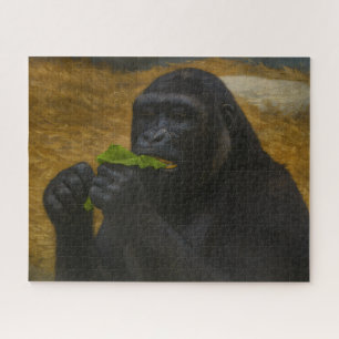 Gorilla Grace - Realistisches Tierportrait