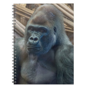 Gorilla herauf nahes Notizbuch Notizblock