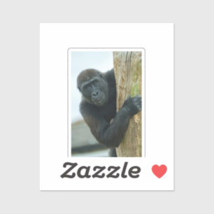 Gorilla hinter dem Baum Aufkleber