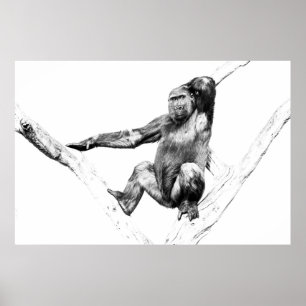 Gorilla in Shadows Poster