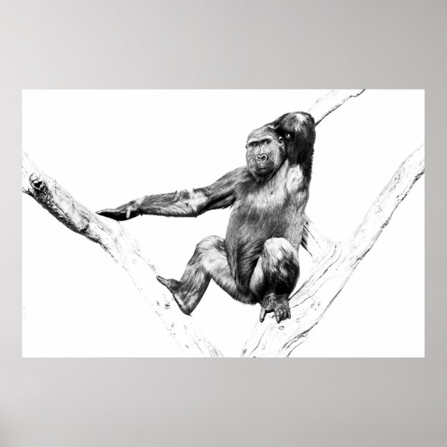 Gorilla in Shadows Poster (Vorne)
