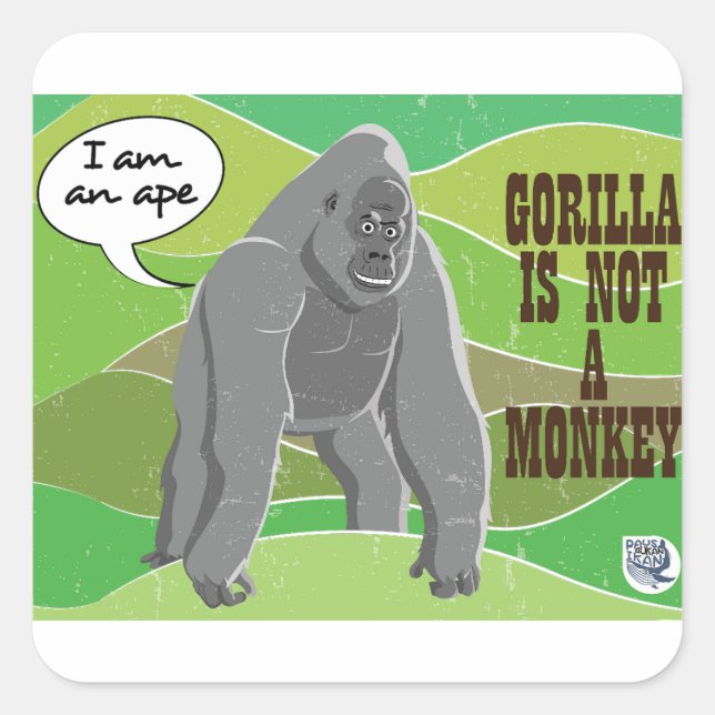 Gorilla ist kein Affe Quadratischer Aufkleber (Vorderseite)