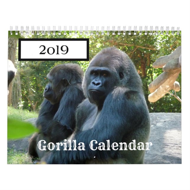Gorilla-Kalender 2019 Kalender (Titelbild)