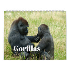 Gorilla-Kalender 2026 Kalender